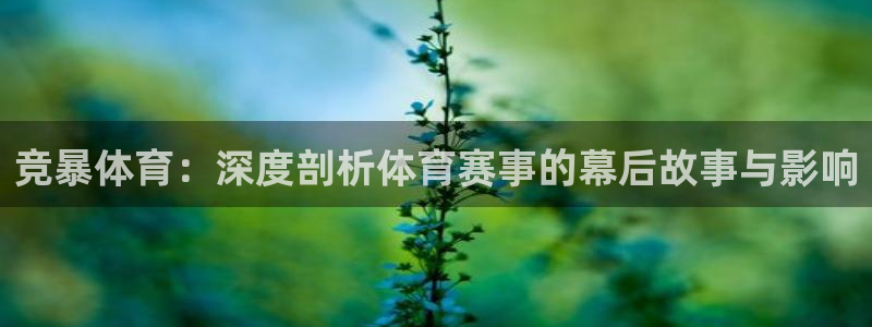 竞暴体育：深度剖析体育赛事的幕后故事与影响