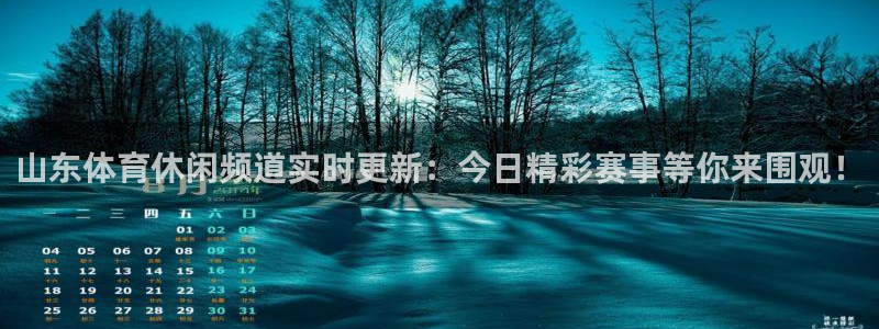 山东体育休闲频道实时更新：今日精彩赛事等你来围观！