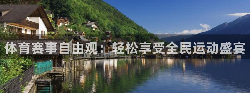 体育赛事自由观：轻松享受全民运动盛宴